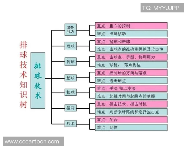 广州排球队防守策略解析：深度剖析排球战术与技术的完美结合